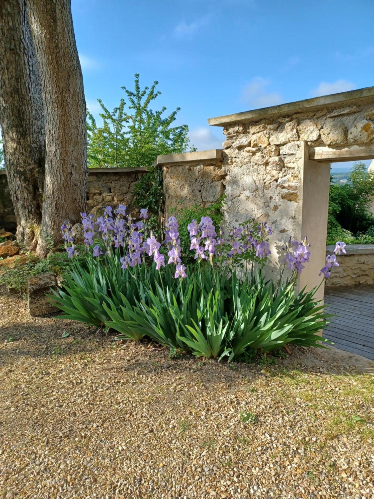 Le Verger Vaux-Sur-Seine Exterior foto